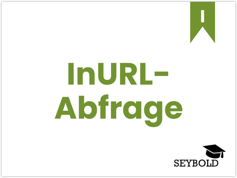 InURL-Abfrage - Begriffe aus SEO einfach erklärt | SEYBOLD